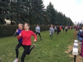 thumbnail_IMG_3275