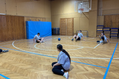 2024-2025. Parasport napja 2025